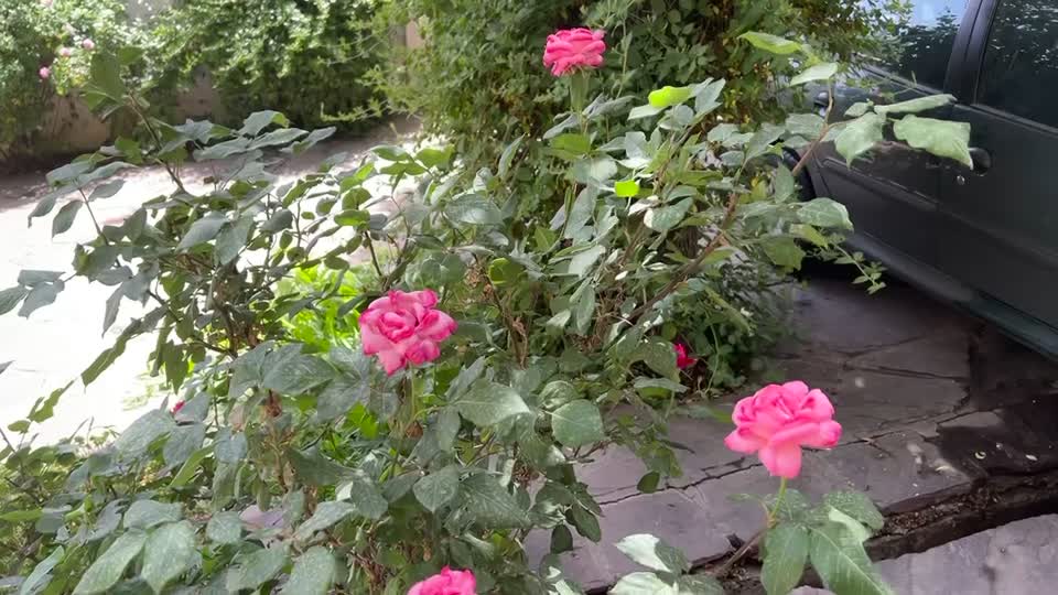 فروش خانه ویلایی ۴۵۰مترزمین۲۳۰ بنا۴ خوابه در ابعلی|فروش خانه و ویلا|آبعلی, |دیوار