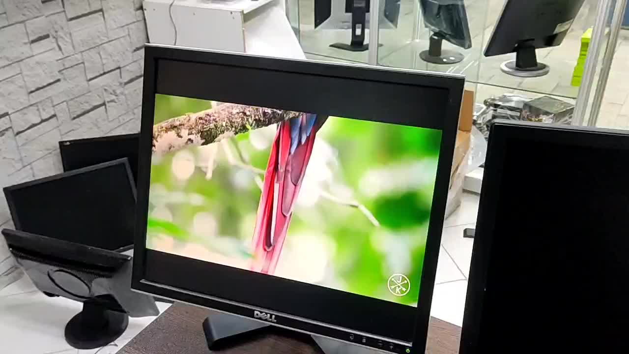 مانیتور 19 اینچ دل مدل Dell 1908FPT|قطعات و لوازم جانبی رایانه|کرمانشاه, |دیوار