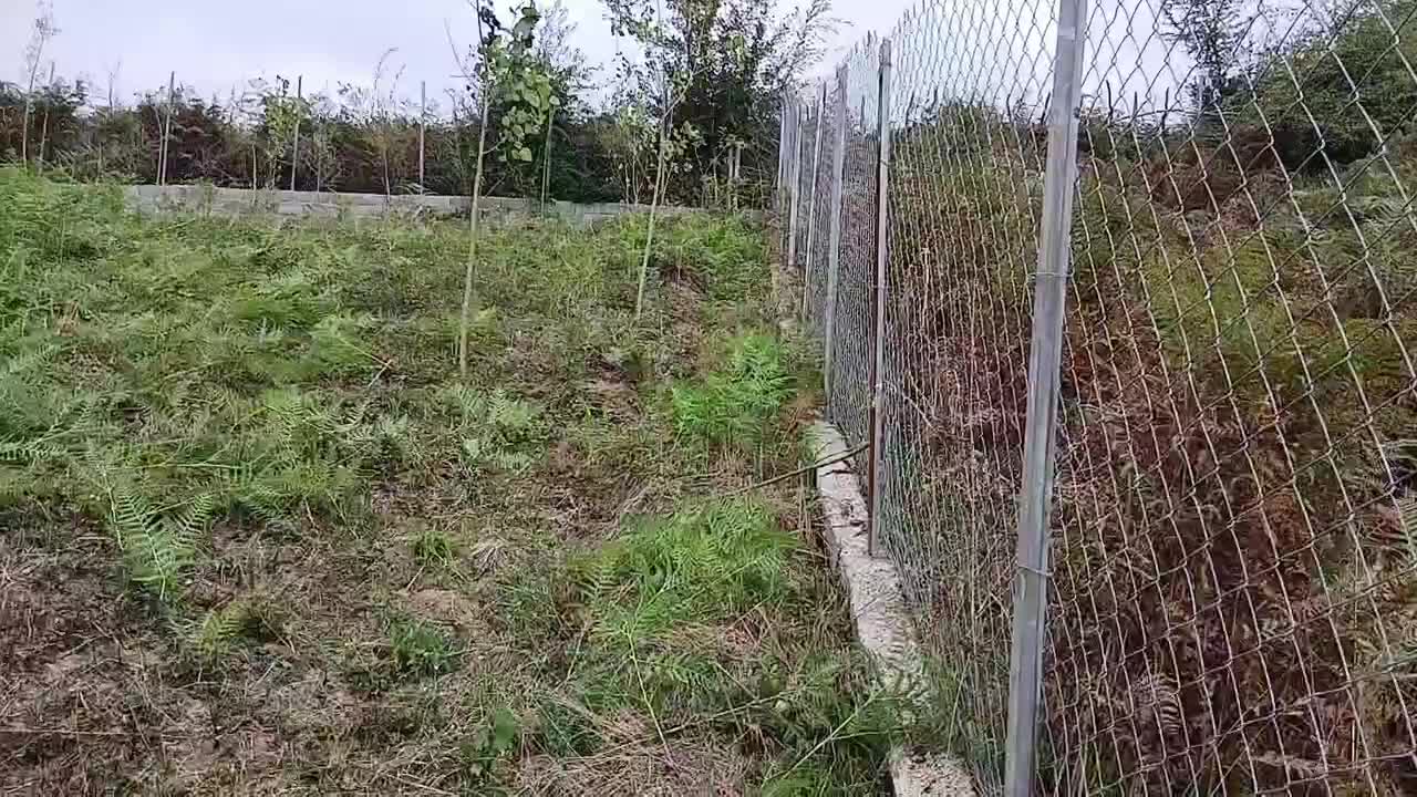 زمین، روستای پاجی|فروش زمین و ملک کلنگی|فریم, |دیوار