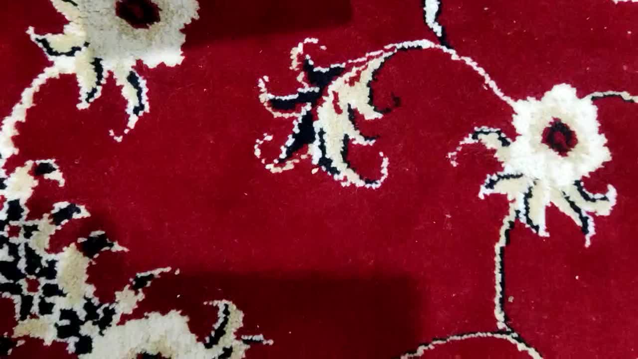 کیمدی|کلکسیون و سرگرمی|صومعه‌سرا, |دیوار