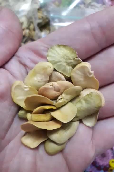 باقلی خشک مازندرانی ولوبیا چشم بلبلی پیربازار|خوردنی و آشامیدنی|رشت, پیله داربن|دیوار