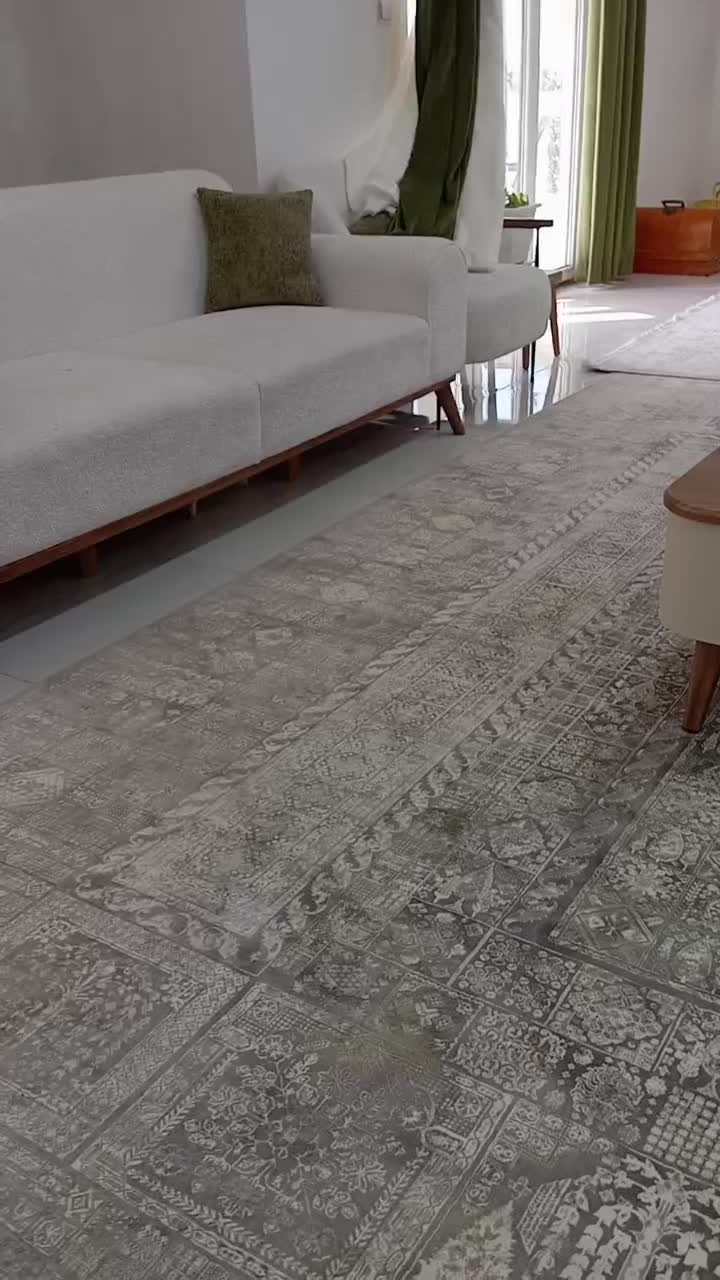 سگ پامر میکس|سگ|یاسوج, |دیوار