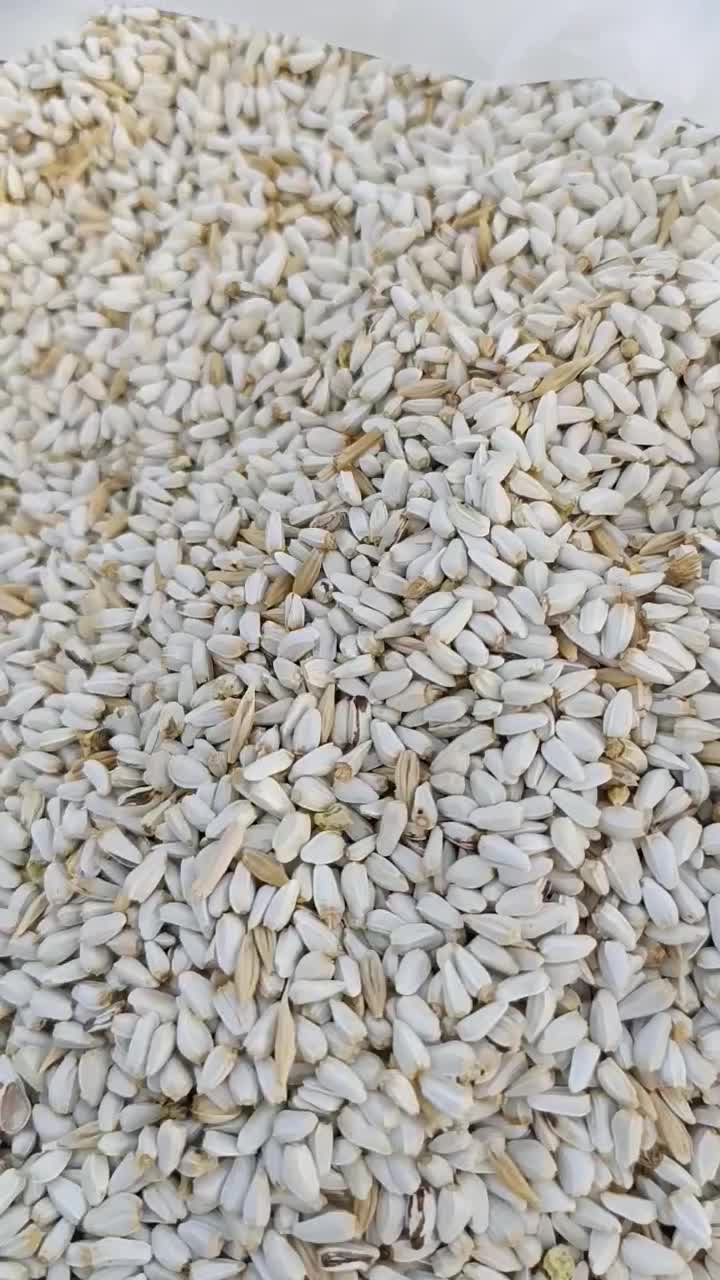 گلرنگ|گل و گیاه طبیعی|شیراز, گلدشت معالی‌آباد|دیوار