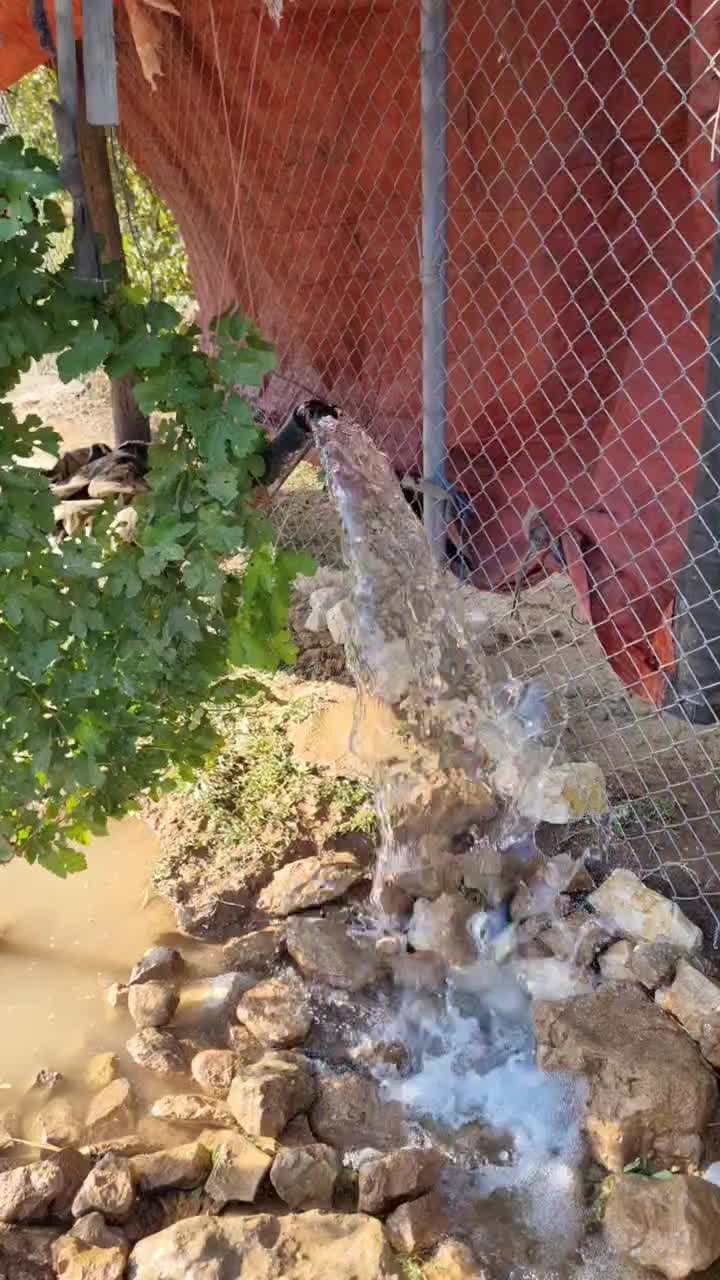 ۲۰۰۰متر باغ|فروش زمین و ملک کلنگی|سیدان, |دیوار