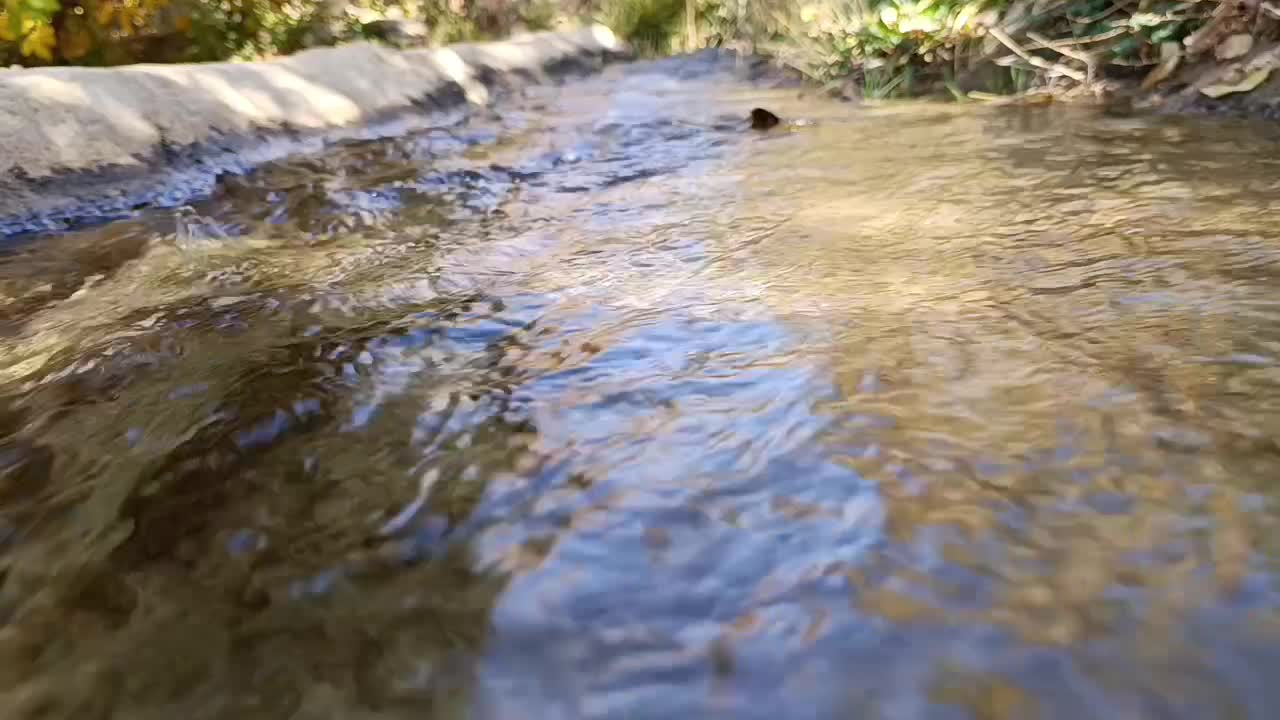 خانه (منزل) ویلایی، سپیدان، سربست|اجارهٔ کوتاه‌مدت ویلا و باغ|همایجان, |دیوار