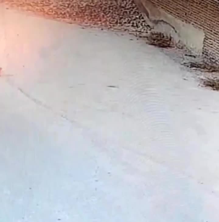 موتور سی بی|اشیا|گرگان, |دیوار