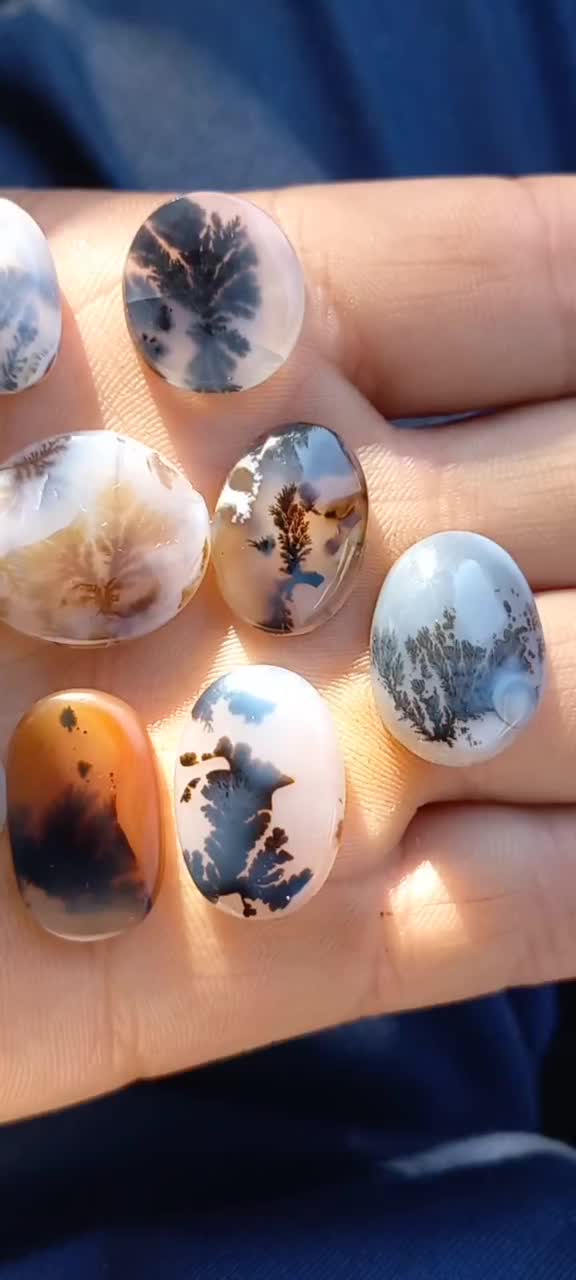 نگین شجر|جواهرات|اقبالیه, |دیوار