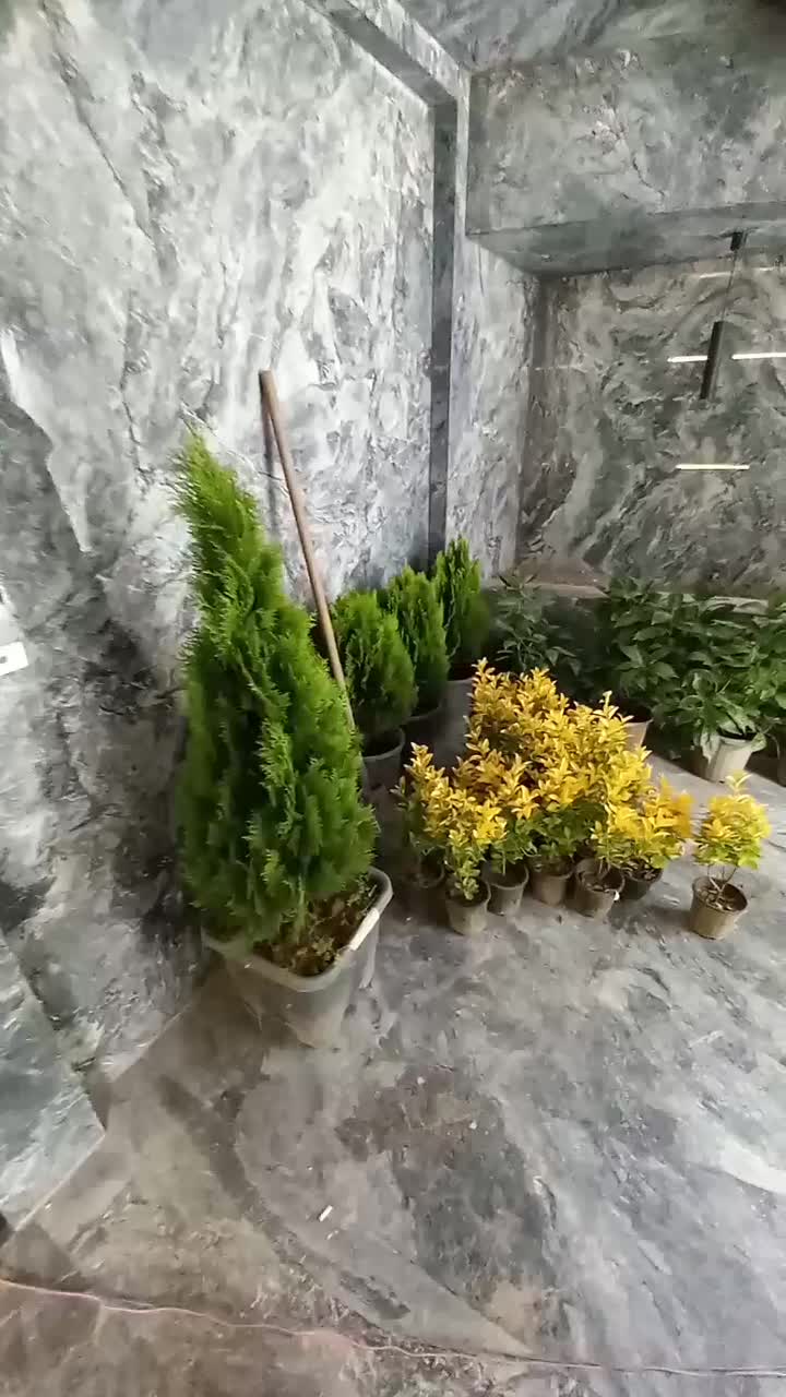 خدمات چمن کاری نهال کاری گل کاری باغبانی گلکاری|خدمات باغبانی و درختکاری|مشهد, توس (بلوار توس)|دیوار