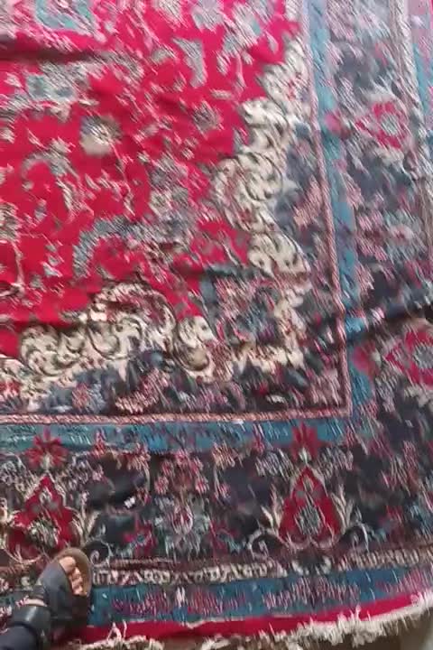 قالی ۱۲ متری|فرش|قم, چهل درخت‎|دیوار