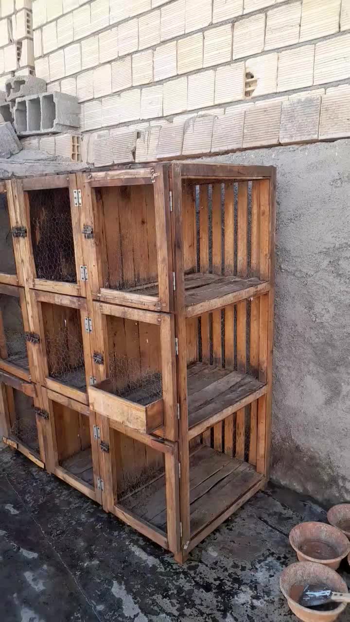 قفس جفت کن|لوازم جانبی حیوانات|لنجان, |دیوار