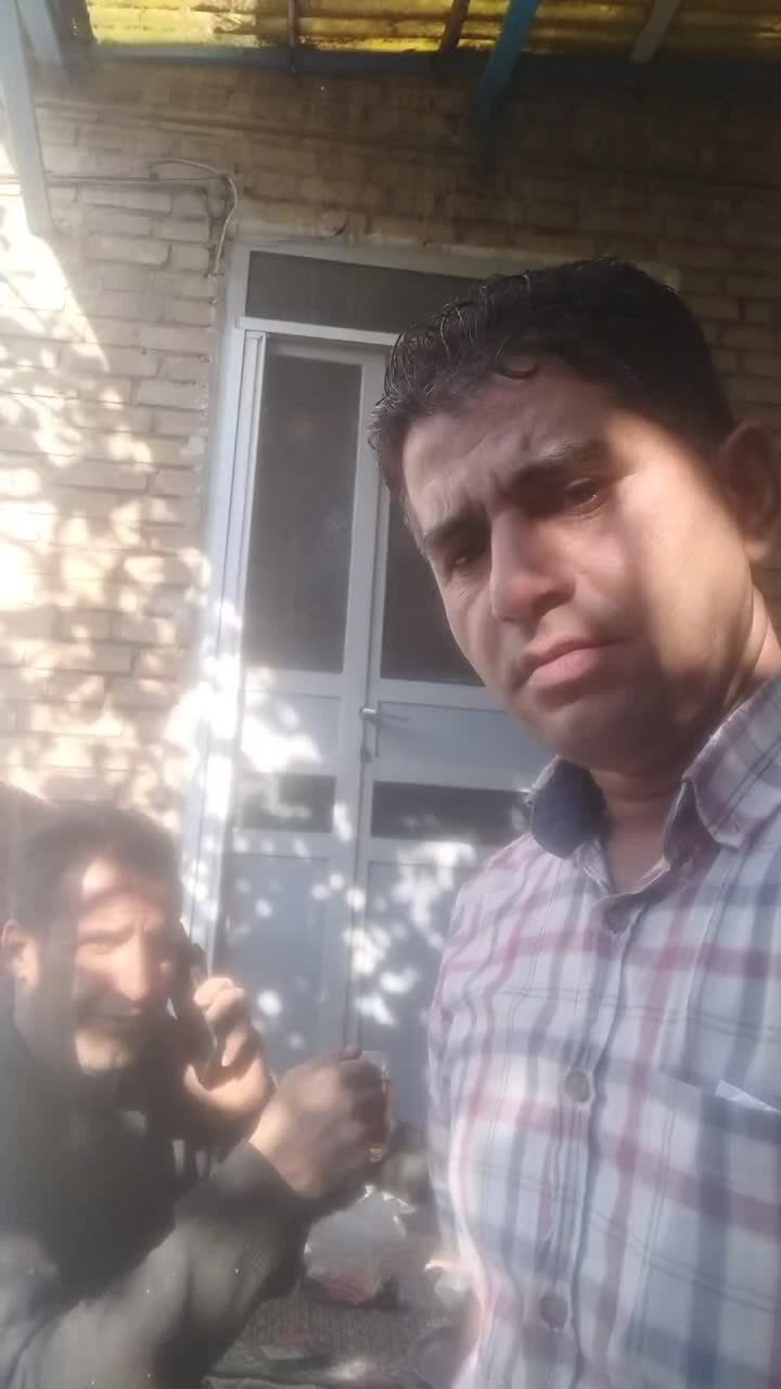 خرید وفروش خرمالو|خوردنی و آشامیدنی|سیلوانه, |دیوار