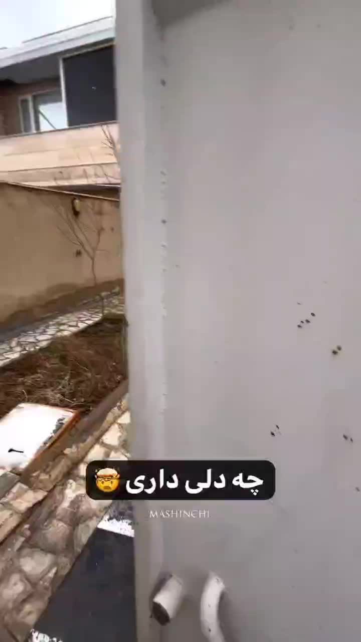 دوربین مداربسته پانوراما مدل V380|دوربین مداربسته|مشهد, هفت تیر (آب و برق)|دیوار