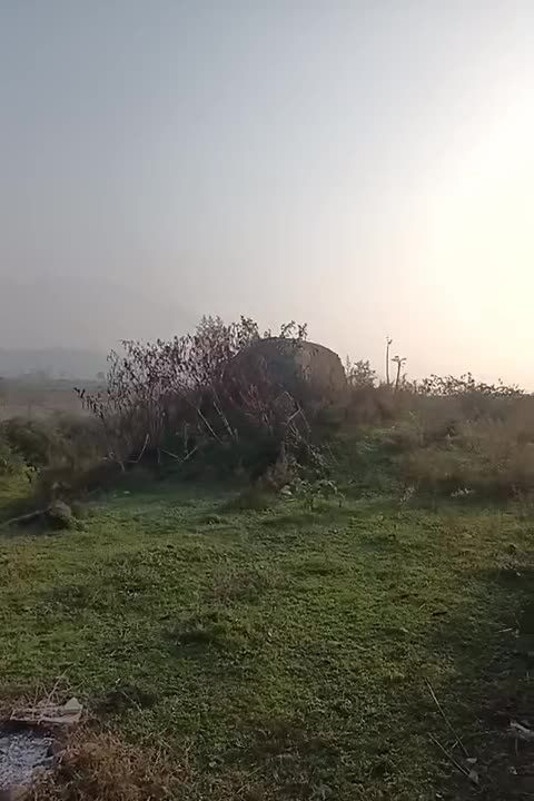 اجاره کوره ذغال و استخر ماهی|اجارهٔ دفتر صنعتی، کشاورزی، تجاری|سنگر, |دیوار