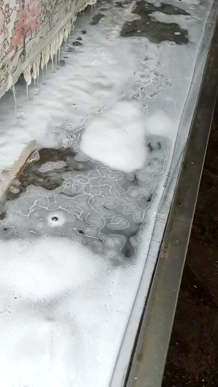 قالیشویی تمام اتوماتیک ماهان|خدمات نظافت|لنگرود, |دیوار