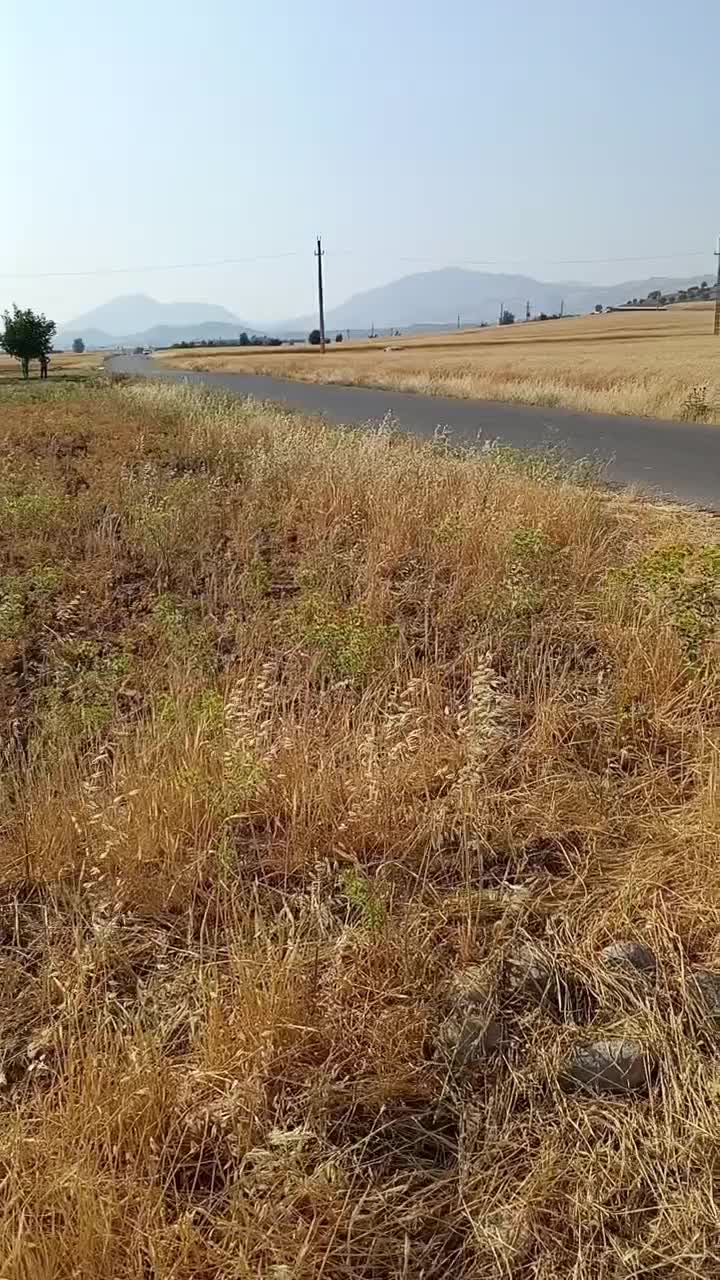 زمین کشاورزی اتوبان اصلی|کلکسیون سکه، تمبر، اسکناس|خرم‌آباد, |دیوار