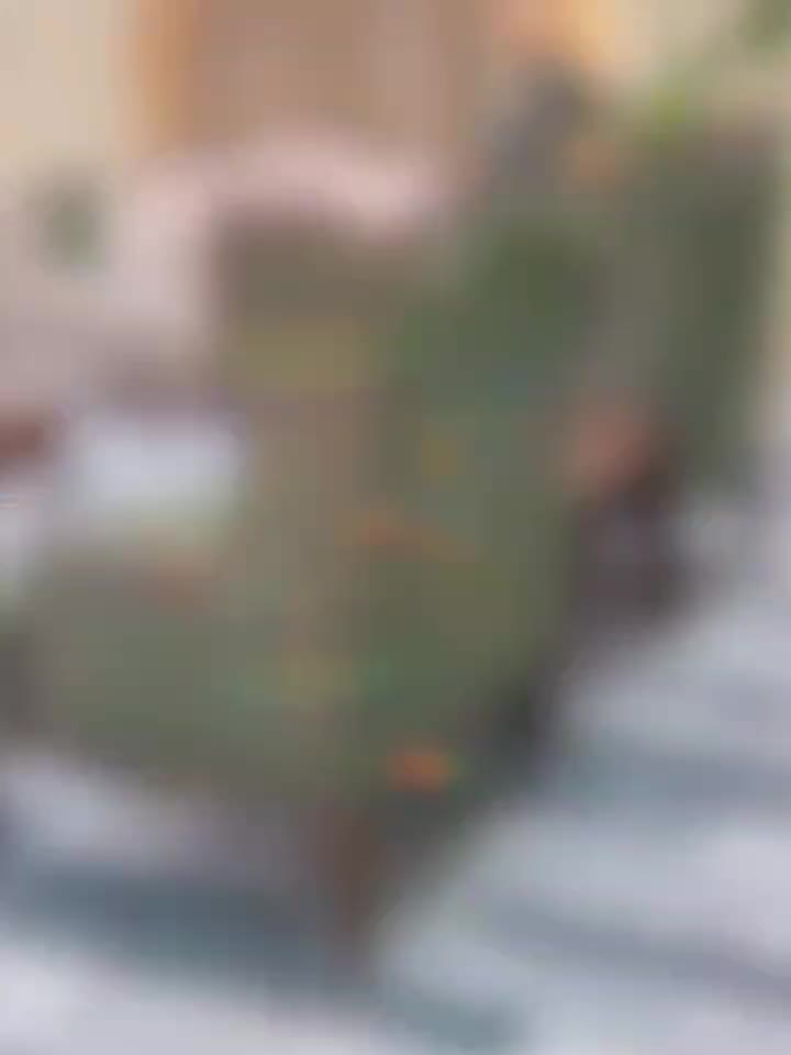 فرانسوی پشت گرد/فرانسوی کویین|مبلمان خانگی و میز عسلی|مشکیندشت, |دیوار