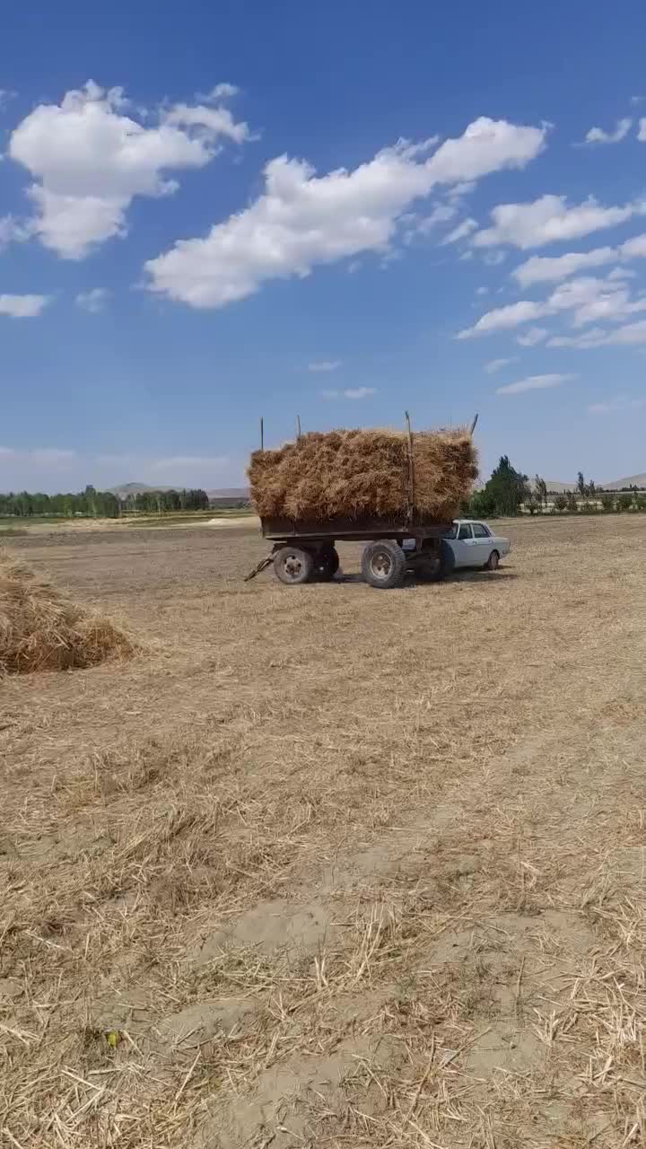 09373445077|سیم‌کارت|سلماس, |دیوار