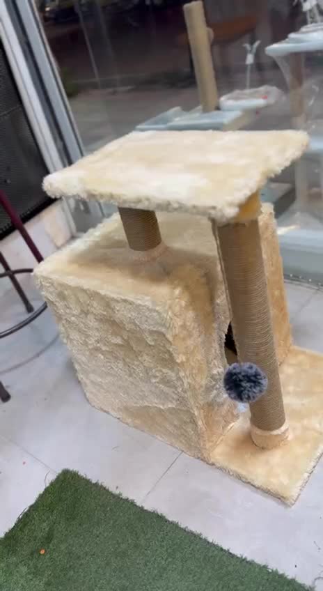 جای خواب و اسکرچر گربه|لوازم جانبی حیوانات|آستانه اشرفیه, |دیوار