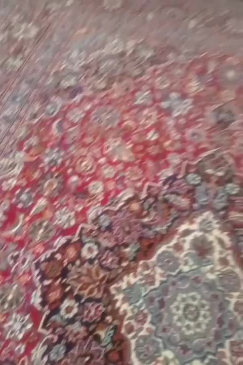 یک شانه قالی ۱۲ متری|فرش|شیروان (خراسان), |دیوار