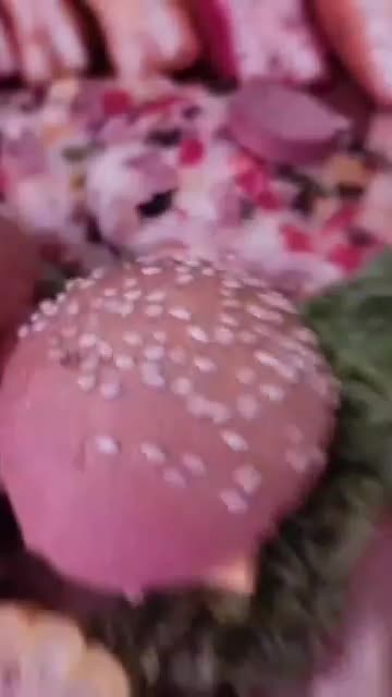 اجاره سالن اجتماعات.عقدنامزدی.تولددورهمی.بعدتالاری|خدمات پذیرایی، مراسم|تهران, تهرانپارس شرقی|دیوار