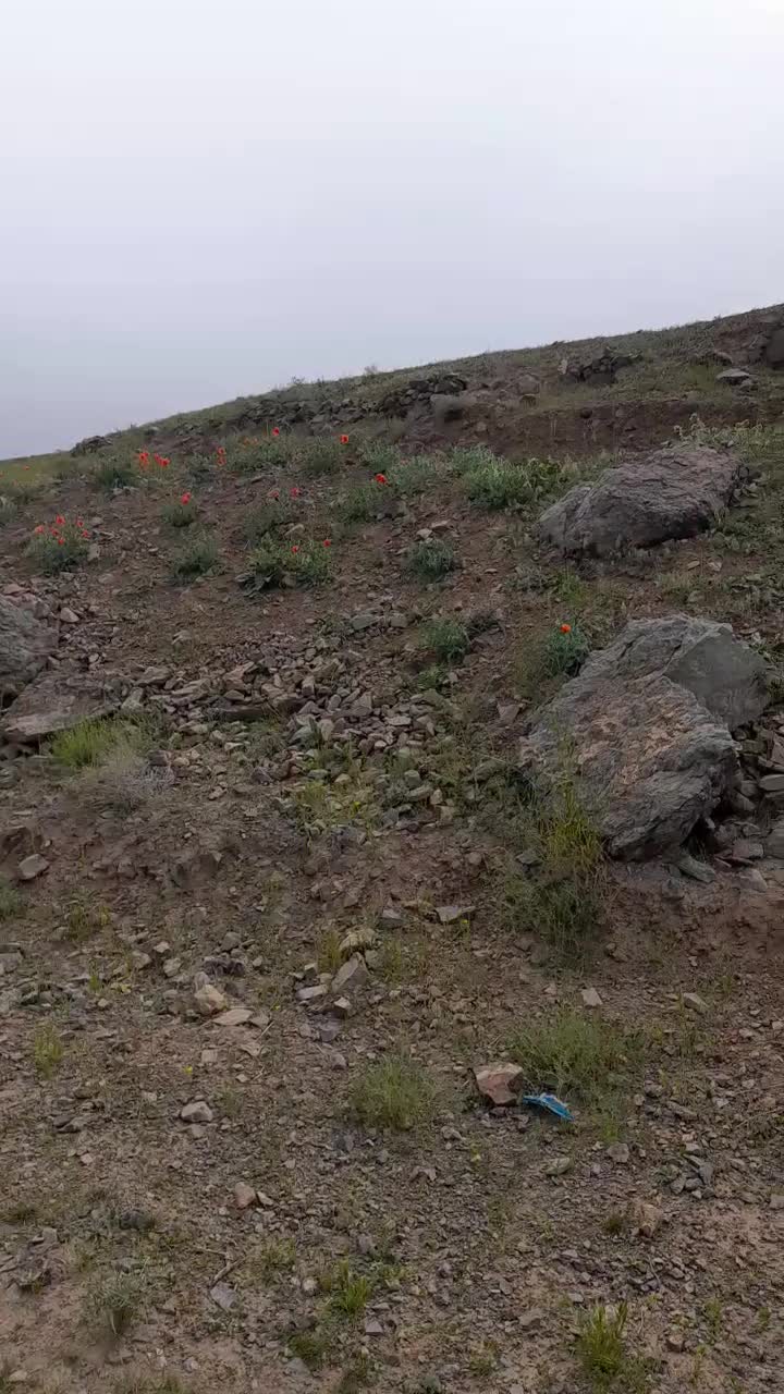 فروش زمین ۵۹۰ متری در روستای زواریان|فروش زمین و ملک کلنگی|قم, قلعه یزدیها|دیوار