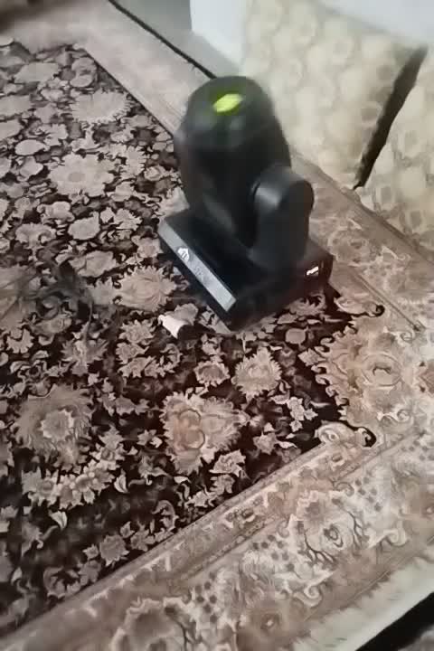 نورپرداز|ریسه و چراغ تزئینی|زیباشهر, |دیوار