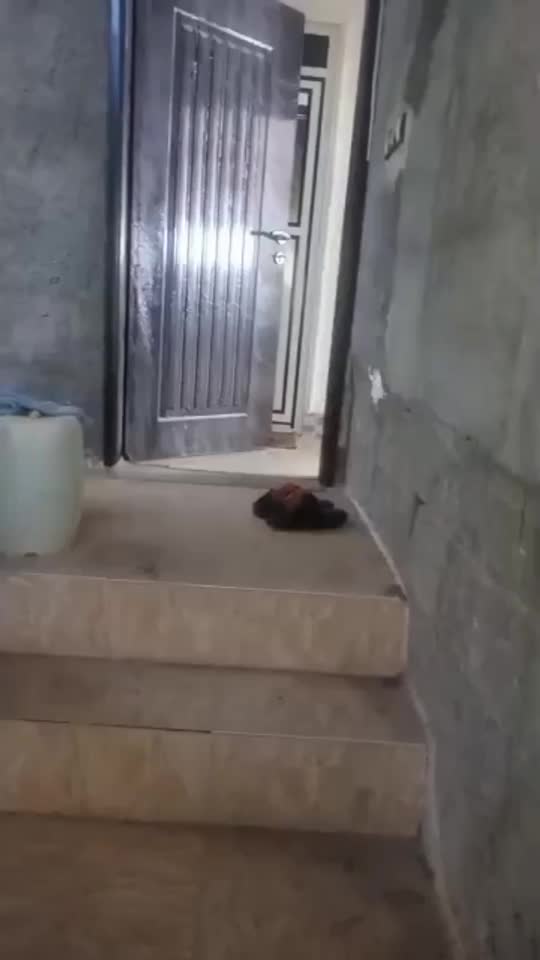 فروش خانه ۲۱۰ متری|فروش خانه و ویلا|بندرلنگه, |دیوار