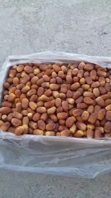 خرما|خوردنی و آشامیدنی|رودخانه, |دیوار
