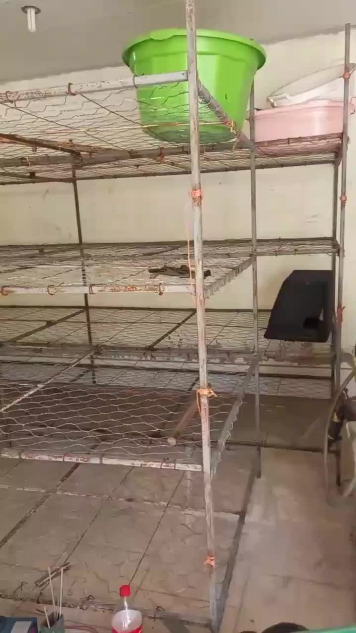 لوازم پرورش قارچ واغلام دیگر کولر وتهویه|ابزارآلات|بندر گز, |دیوار