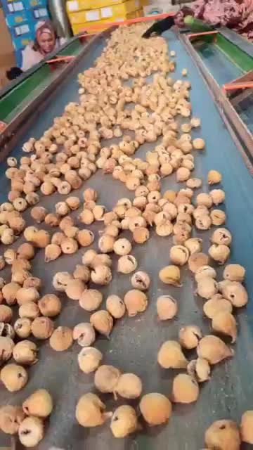 ۲۵ تن انجیر تازه و اعلای باغ شیراز/۵۰کیلو به بالا|خوردنی و آشامیدنی|اصفهان, محمودیه|دیوار