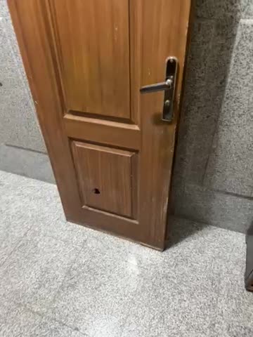 درب چوبی|مصالح و تجهیزات ساختمان|قم, سالاریه|دیوار