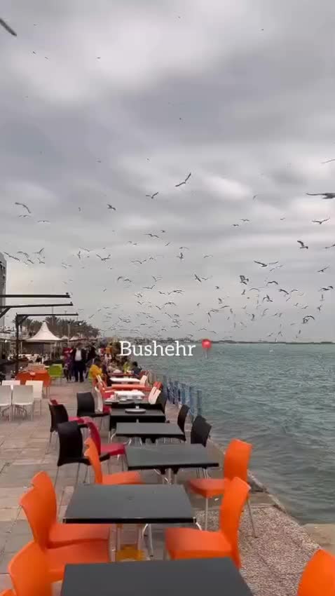 تور دو روزه بوشهر گردی بعلاوه بندر گناوه|تور و چارتر|دزفول, |دیوار