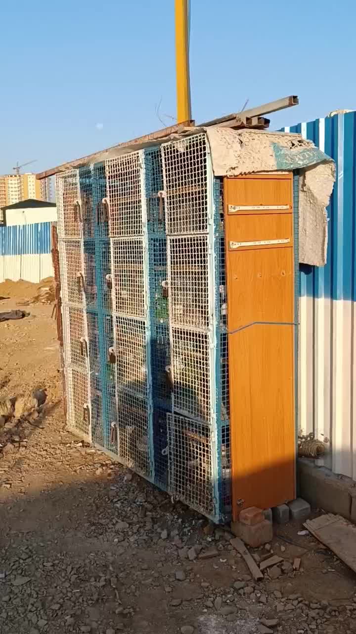 گنجه قفس جفت کن کبوتر کفترطوقی|لوازم جانبی حیوانات|تهران, مروارید شهر|دیوار