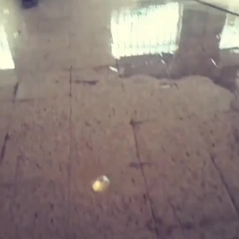 کفسابی سنگسابی کف سابی کفساب سنگساب صابزن|خدمات نظافت|اهواز, امانیه|دیوار