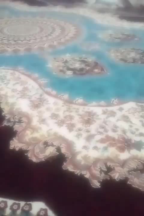 فرش۱۲ متری دونه ای ۸ هردو۱۶میلیون|فرش|دورود, |دیوار