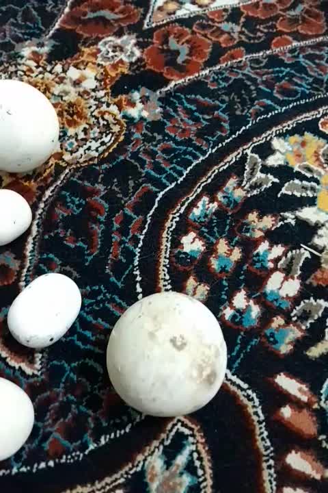 سنگ آسیاب یا سنگ الماس|کلکسیون اشیاء عتیقه|ارومیه, |دیوار