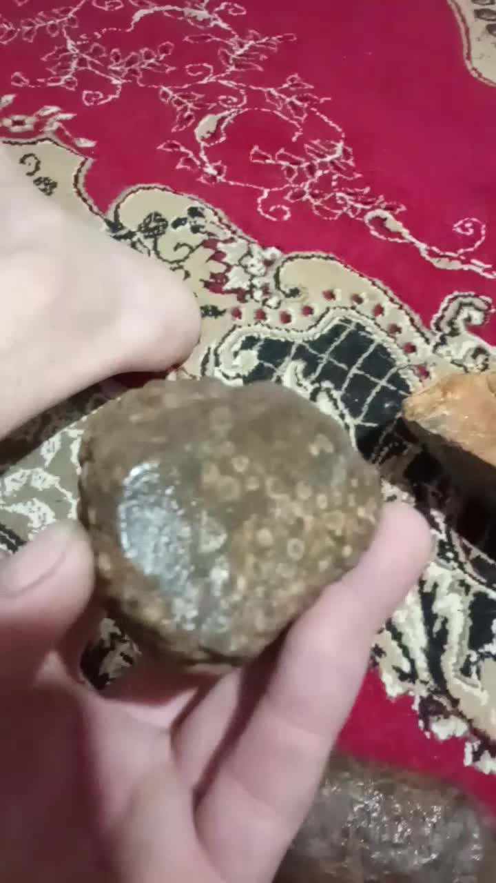 شهاب‌سنگ|جواهرات|شیراز, گویم|دیوار