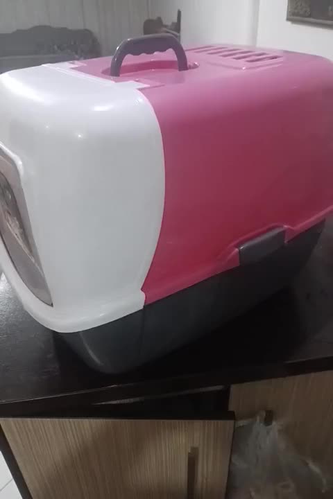 باکس حمل حیوان خانگی شما.در حد نونو|لوازم جانبی حیوانات|اسلام‌شهر, شهرک قائمیه|دیوار