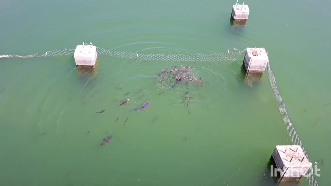 مشارکت در احداث گلخانه|اجارهٔ دفتر صنعتی، کشاورزی، تجاری|ضیاء آباد, |دیوار