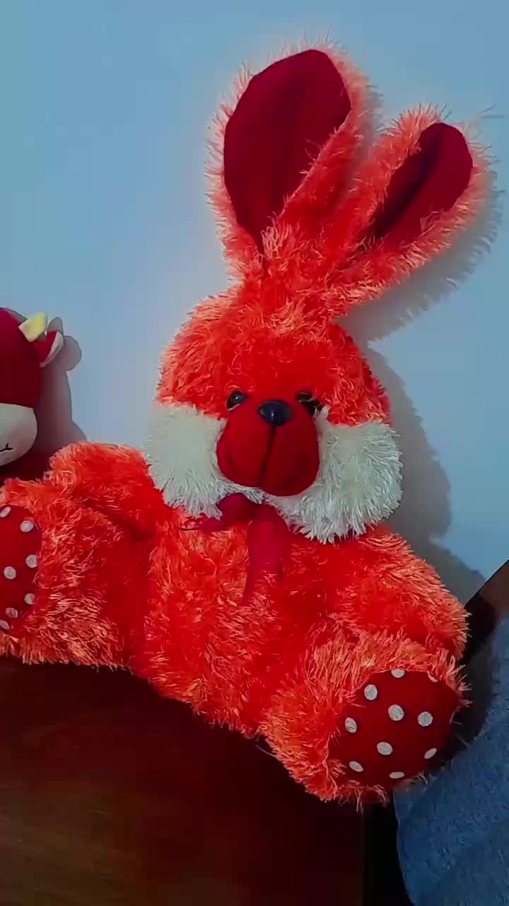 چندتا عروسک مناسب کادو و کوچولوها یکجا|اسباببازی|ارومیه, |دیوار