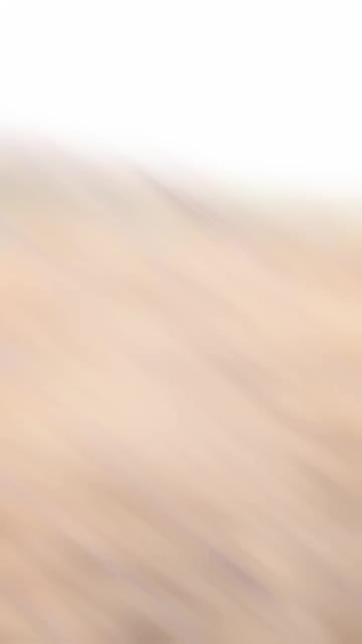 اسب|اسب و تجهیزات اسب‌سواری|همدان, |دیوار