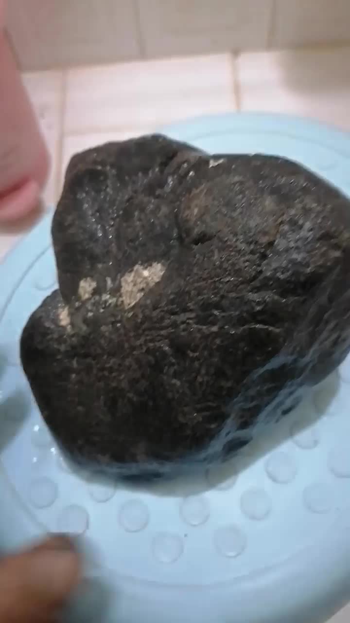 وسایل سخصی|کلکسیون اشیاء عتیقه|رضویه, |دیوار