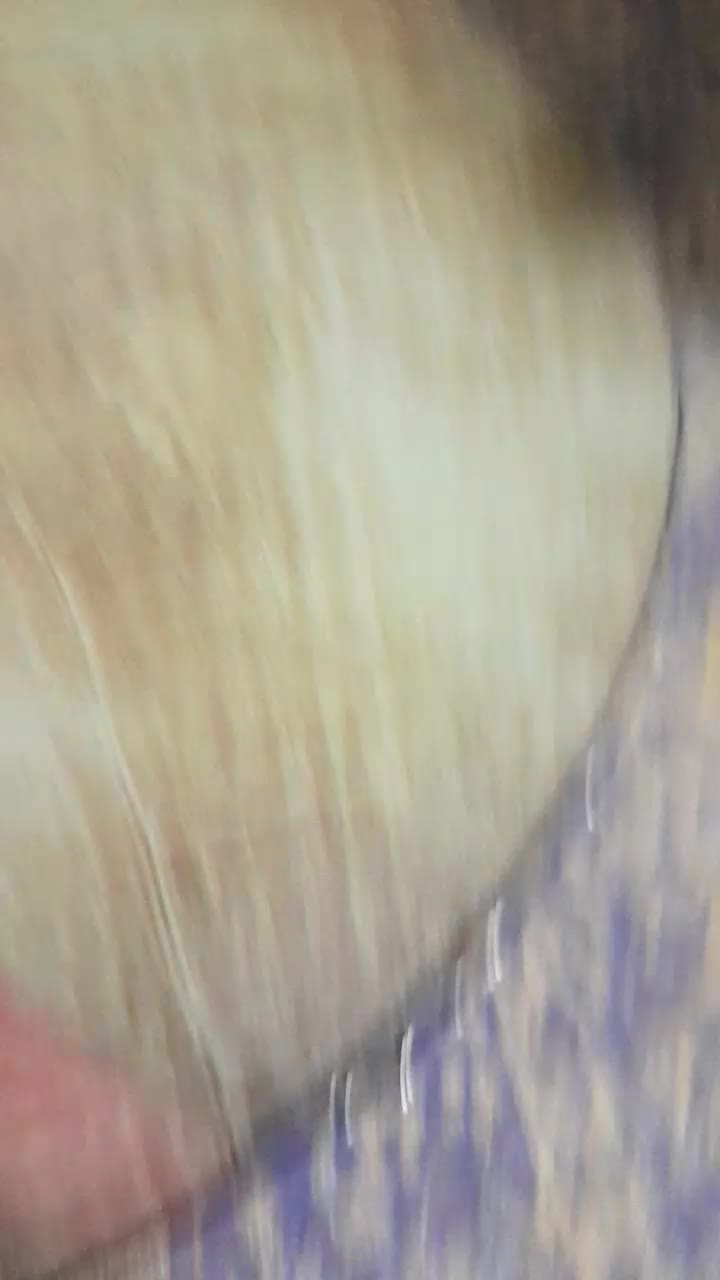 دف بزرگ سما همراه با کتاب وکاور|سازهای سنتی|سنندج, |دیوار