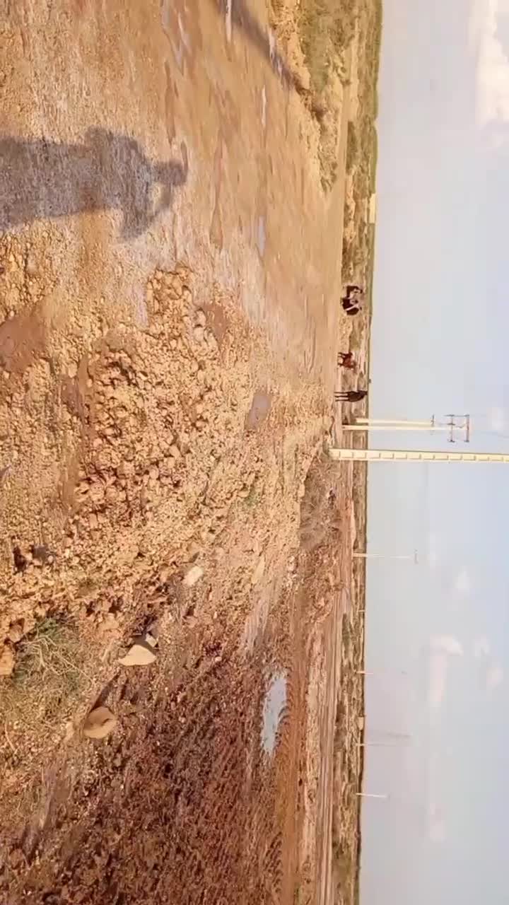 اسب|اسب و تجهیزات اسب‌سواری|کارون, |دیوار