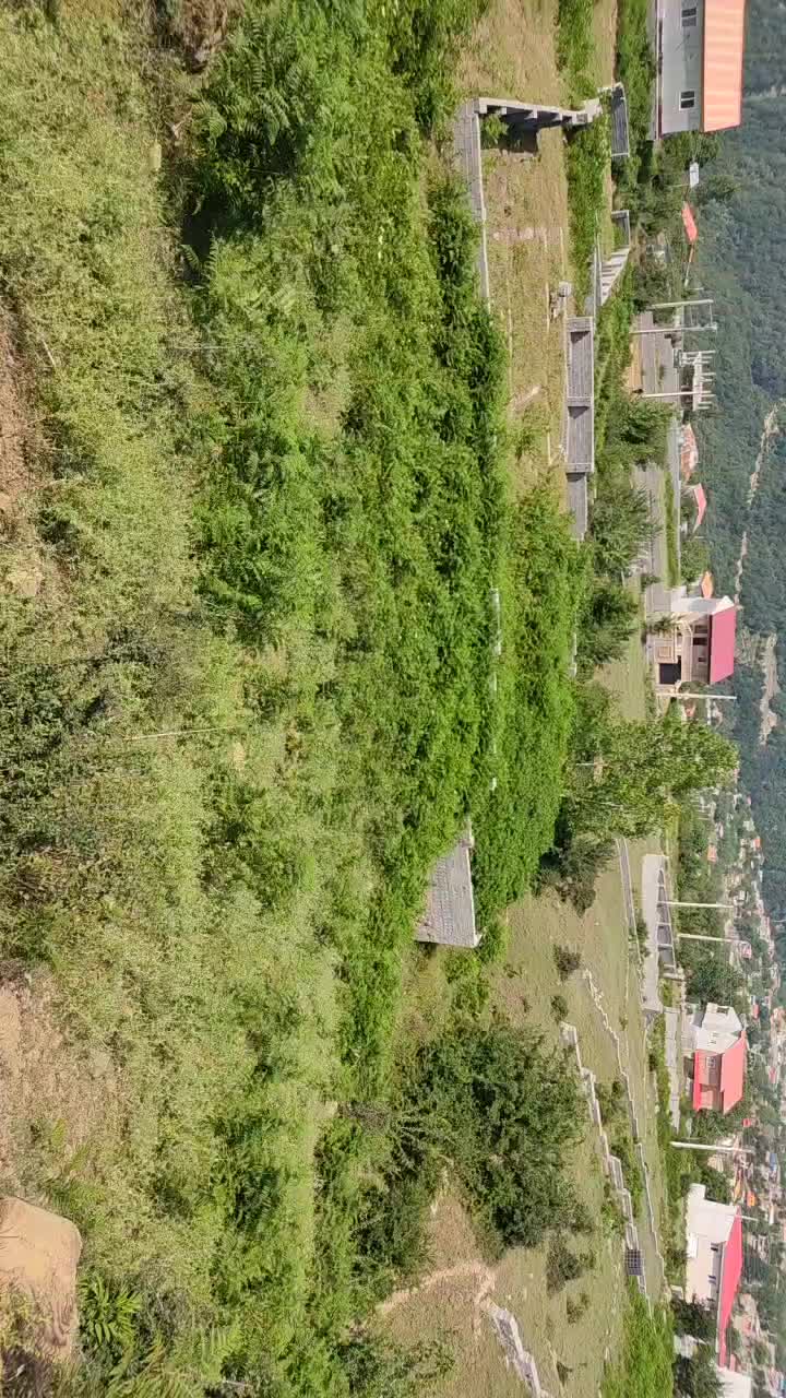 330 متر زمین واقع در سوادکوه روستای کارمزد|فروش زمین و ملک کلنگی|آلاشت, |دیوار
