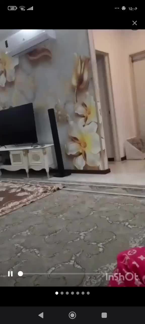 دو عدد عروس هلندی دستی و سخنگو|پرنده|مشهد, شهرک لشکر (شهرک غرب)|دیوار