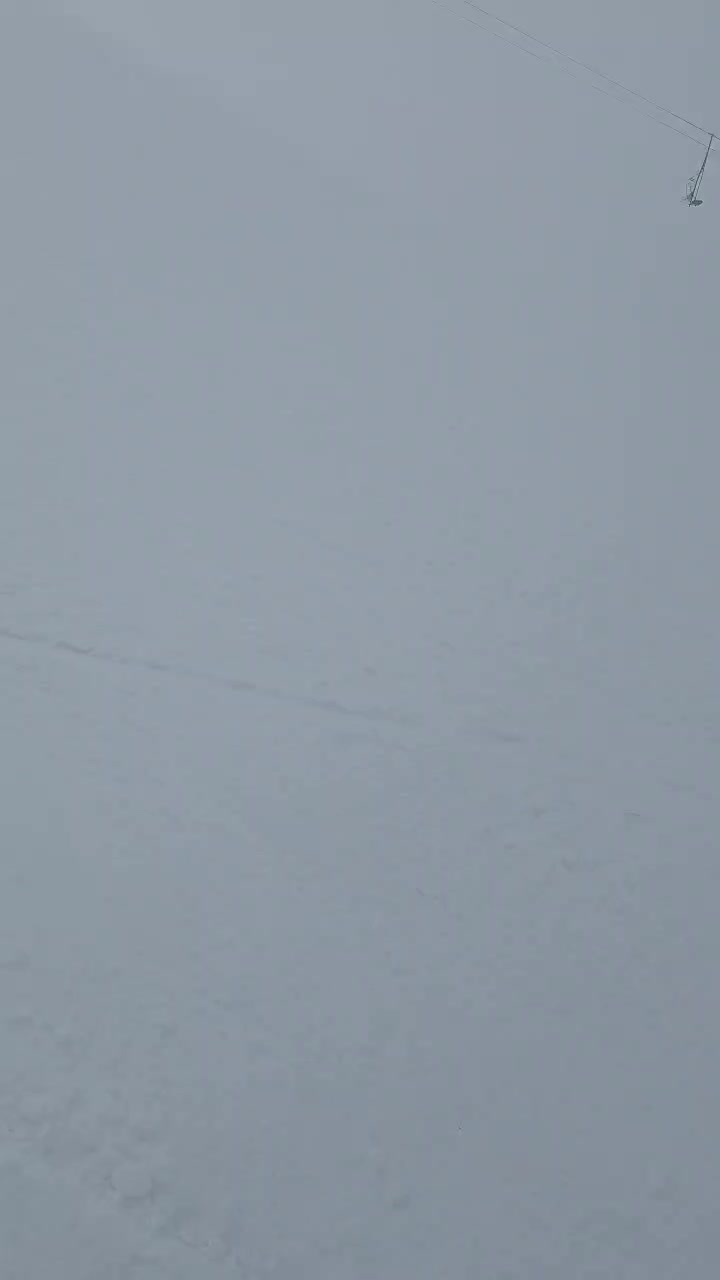 مینی اسکی snow shoes|ورزشهای زمستانی|تهران, کوهک|دیوار