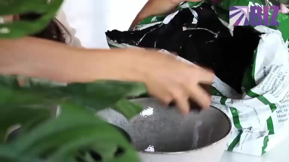 کود های محرک و هیومیک اسید باغ و باغچه و آپارتمانی|گل و گیاه طبیعی|کاشان, راوند|دیوار