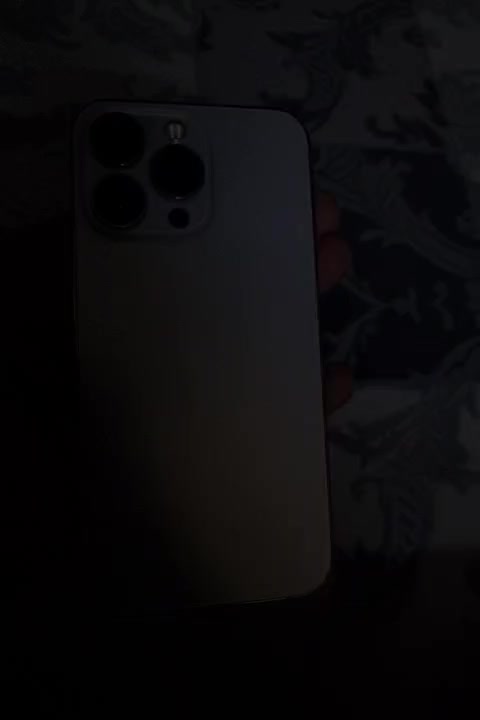 آیفون ۱۳ پرو|موبایل|مشهد, تربیت (صدف)|دیوار