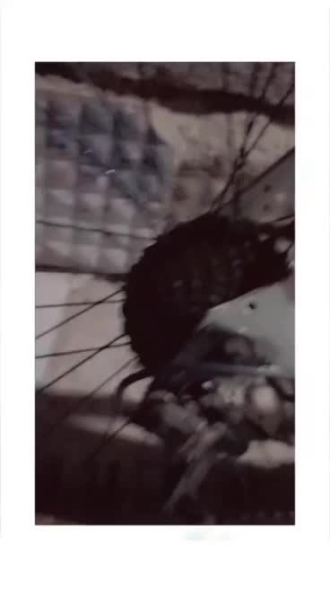 دوچرخه ویوا خوشش رکاب|دوچرخه، اسکیت، اسکوتر|خرمشهر, |دیوار